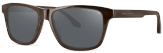 RANGE ROVER RRS 301 Sunglasses